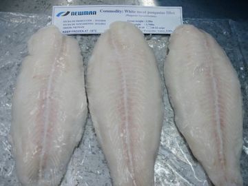 맛있은 대량 베트남에서 냉동 생선에 의하여 Basa Pangasius 어는 등심/물고기