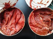 찬 특유한 냄새 및 부식방지제 없는 틈에 의하여 통조림으로 만들어지는 토마토 페이스트