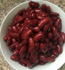 신선한 채소, 소금물에 있는 통조림으로 만들어진 신장 콩을 통조림으로 만드는 진한 빨강색 색깔