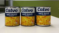 Calvo 상표는 중앙 아메리카를 위한 단 옥수수 Maiz Dulze 순중량 241g를 통조림으로 만들었습니다