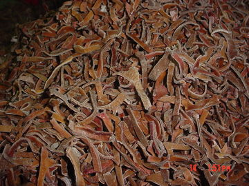파삭파삭한 언 청과 까만 버섯 모양 줄무늬 -18 정도 저장