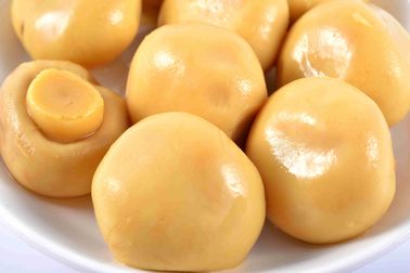 소금물에 425g/200g 고급 통조림 샴피뇽 버섯