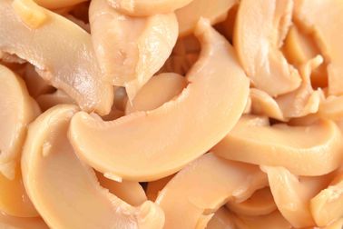영양분이 있는 통조림으로 만들어진 샴피뇽 버섯/전체적인 통조림으로 만들어진 버섯 짠 풍미