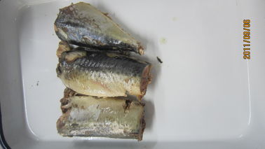 중국에서 도마도 소스에 있는 소금물에서 통조림으로 만들어지는 425g 잭 고등어