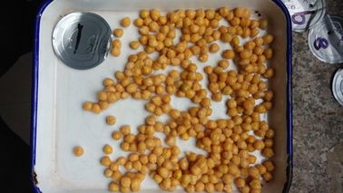 소금물에 있는 맛있은 통조림으로 만들어진 Chickpeas 쉬운 열려있는 주석 3 년 재고 유효 기간 425g, 567g, 800g