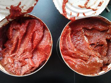 최고급 통조림 토마토 페이스트 증기 가공 타입