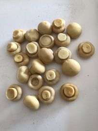 190g는 전체 Cultivatea 일반적인 버섯을 통조림으로 만들고/잇고 김을 냅니다