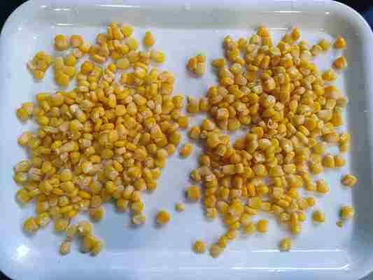 과일 및 버섯용 신선한 옥수수 통조림 스위트 콘