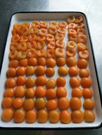 사적 상표를 가진 가벼운 시럽에 있는 싼 과일 통조림 통조림으로 만들어진 살구 반