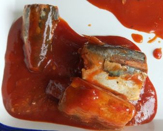 도마도 소스에 있는 통조림으로 만들어진 평화로운 고등어