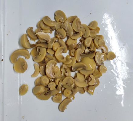 함유 함유 함유 함유 함유 함유 함유 함유