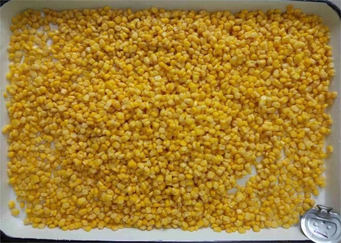 Premium Canned Sweet Corn with Bulk Packaging for Foodservice and Retail