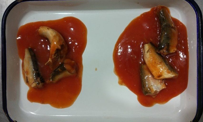 도마도 소스 주문 크기 및 패킹에 있는 뜨거운 매운 통조림으로 만들어진 정어리 물고기