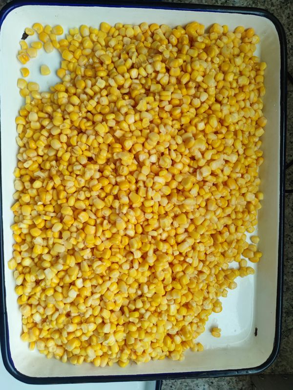 편리 하게 포장 된 캔 에 담긴 달콤 한 옥수수