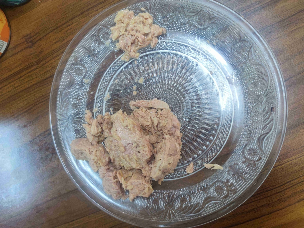 물에 담근 참치 덩어리, 기름에 절인 맛있는 영양 만점의 주방 필수품