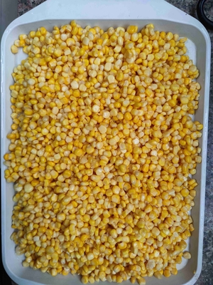 비 GMO 재배 유형 캔 노란 옥수수 및 향신한 가공 유형