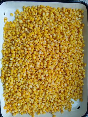배수 중량 1800g 통조림 스위트 콘, 뚜껑 열기 어려움, 통조림 옥수수 알갱이, 레스토랑 및 식품 가공에 적합