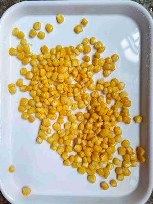 맛있는 재배 유형 비 GMO 캔 달콤한 옥수수 수출