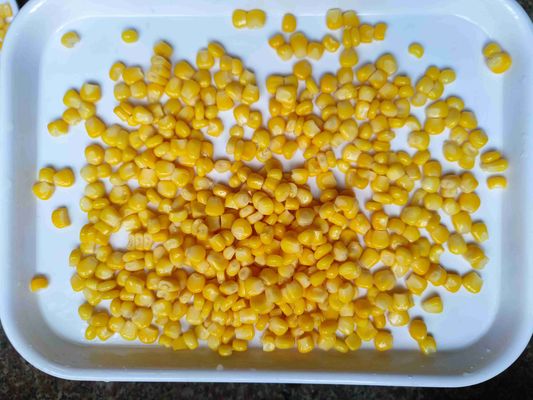 425g 순중량 양념식품 제조업용 양념식품 - 최고 품질의 용품 양념식품
