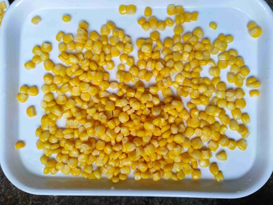 타코와 카세롤에 적합 한 캔 달콤 한 옥수수 와 함께 맛과 영양의 폭발을 추가