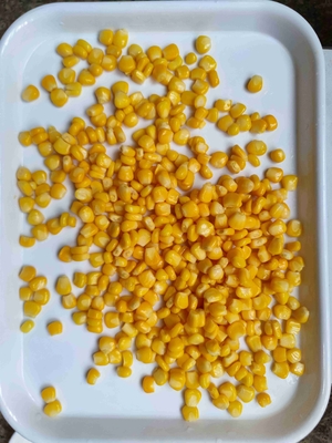 번거로움 없는 비 GMO 감자 옥수수