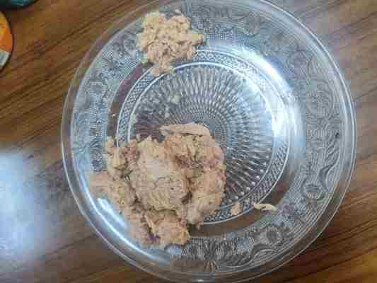 물에 담근 참치 덩어리, 기름에 절인 맛있는 영양 만점의 주방 필수품