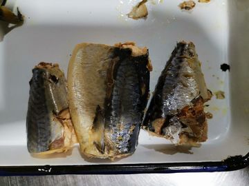 콩고 콩고 콩고 보관 지침 냉각 된 스타일로 보관